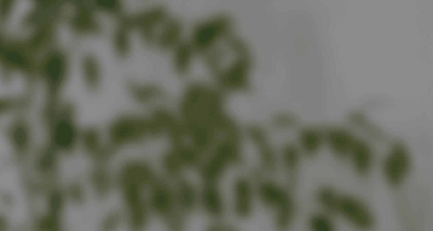 Slider Background